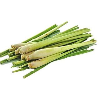 Lemon Grass